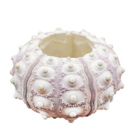 Xuniu Air Plants Sea Urchin Tabletop Tillandsia Holder Miniature Gardening Decorations 4cm-7cm