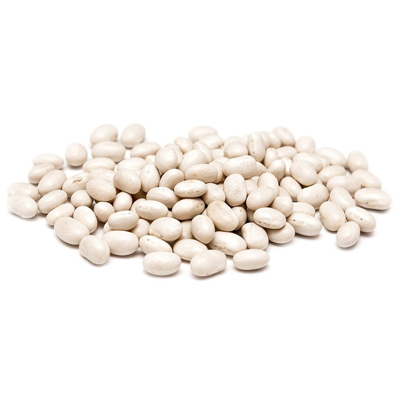 Hunza Organic Great Northern Beans (2 lbs)