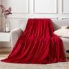 EHEYCIGA Fleece Blanket Red Throws for Sofas Fluffy Warm Soft