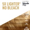 Clairol Blonde It Up Permanent Hair Dye, Platinum Blonde Hair