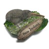 WitnyStore Tiny Kiwi Flightless Bird New Zealand Australia Oceania Tourist
