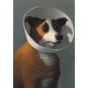 Michael Sowa Inkognito Note Card Set