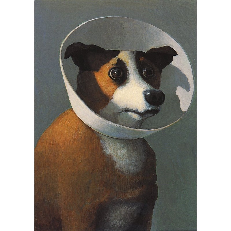 Michael Sowa Inkognito Note Card Set