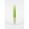 ZEUP 920942 Leaf POOLEAF 3 Piece Rollerball Pen