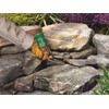 Great Stuff 283064 Pond/Stone, 12 oz. (Pack of 12)
