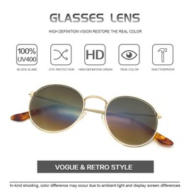 Round Vintage Glass Sunglasses Classic Retro Metal Frame Sunglasses Circle for Women Men Brown Lens Sunglasses