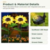 Solar Flower Lights for Garden Decor – Waterproof LED Rose