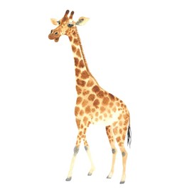 Large Giraffe Wall Decals Peel and Stick, Watercolor Giraffe Wall Sticker for Nursery Baby Room Decor