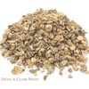 Devil's Claw Root and Black Tea Herbal Infusion (Keemun Mao