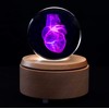 XINDAM 3D Human Heart Anatomical Model Paperweight(Laser Etched) in Crystal