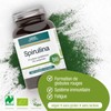 GSE Spirulina Microalgae Pellets, 240 Tablets, Iron and Vitamin B12,