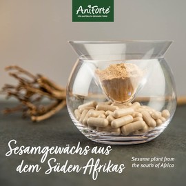 AniForte Teufelskralle Gelenk Kapseln für Hunde 100 Stück - Gelenktabletten als praktische Kapsel, 100% Naturprodukt Gelenke Pulver, Hohe Akzeptanz beim Hund