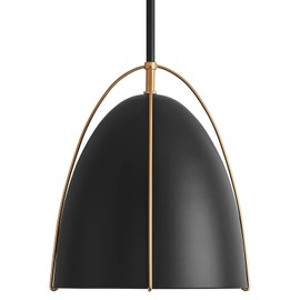 FookChak Black Dome Pendant Light 10in 1-Light Kitchen Pendant Lighting Egg-Shaped Black Gold Pendant Light Fixture for Kitchen Island, Dining Room,Kitchen Sink,Bar,10in，E26