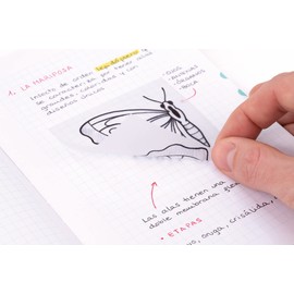 MILAN® Clear Removable Sticky Notes