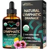 USDA Organic Lymphatic Drainage Supplement - Echinacea | Elderberry |