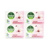 웰니스글로벌7 Dettol Skin Care Soap 100g, Pack of 4