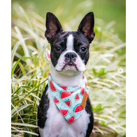 LunaMarie - Luxury Dog Bandanas - Cute Watermelon Design | Premium & Soft Fabric | 100% Handmade Custom Adjustable Shape Dual Layered Small, Medium, Large Cat Scarf (Watermelon, Small)
