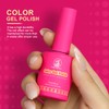 CHILLICATTY Glitter Gel Nail Polish 1 Pcs 15ml (0.51 fl