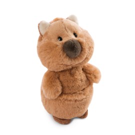 NICI 49818 Cuddly Toy Quokka-Mola 22 cm Brown Soft Plush Toy, Cute Plush Toy for Cuddling and Playing, for Children and Adults, Great Gift Idea