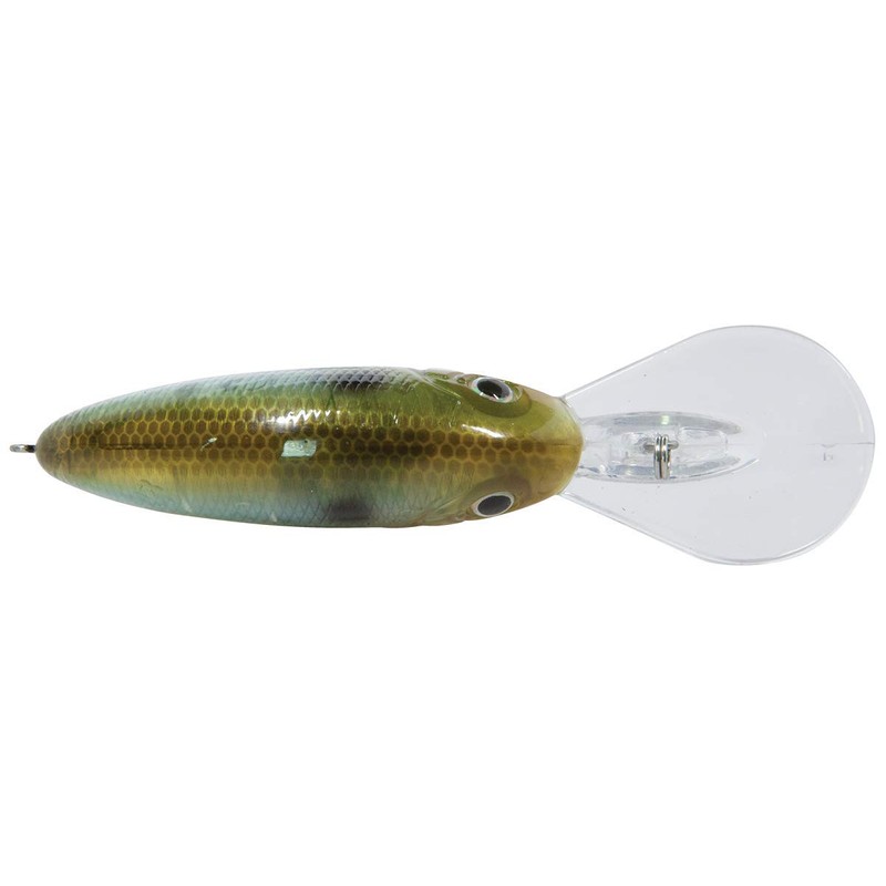 Livingston Lures Tournament Series Deep Impact 12 Ghost Gizzard Shad
