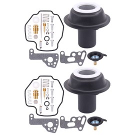 Doo Engy Carburettor Repair Kit for Yama-ha Virago 535 XV535 1990-2001