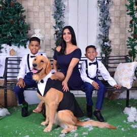 Tuxedo and Bandana Set, 2 Pack Pet Costume Puppy Formal Party Suit, Dog Clothes for Small Medium Large Dogs, Prince Bow Tie Shirt Dog Wedding Attire for Golden Retriever Samo Bulldogs (M)