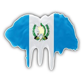 JJH Inc Guatemala Flag Blot Vinyl Decal Sticker Waterproof Car Decal Bumper Sticker 5"