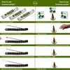 Patchouli Incense Sticks & Incense Cones Combo Pack - 60