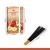 Hem Cinnamon Apple Incense Sticks (120 Sticks, 6 Boxes Inside)