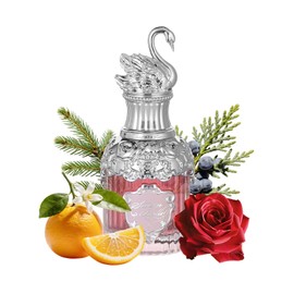 Flower Knows Swan Ballet Perfume,Fresh Fragrance Eau de Parfum Spray Perfume for Women,Woody and Floral Scent With Notes of Bergamot,Rose,Fir,Musk,Gift-Worthy,1.69 fl.oz(Swan Soloist)