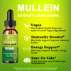 Extra Strength 2,000mg Mullein Drops for Lungs, Mullein Leaf Extract