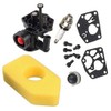 Hippotech 795477 Carburetor and 698369 Air Filter for 795469 794147