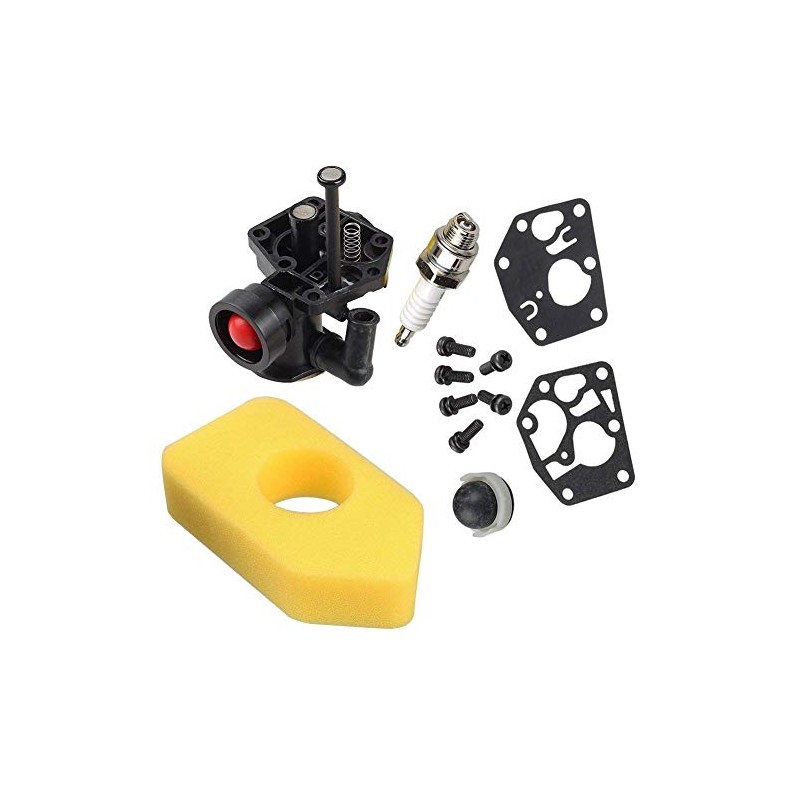 Hippotech 795477 Carburetor and 698369 Air Filter for 795469 794147