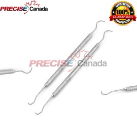 PRECISE CANADA Dental Tarter Scraper Stainless Steel Dentist Tools Plaque Remover Set of 2