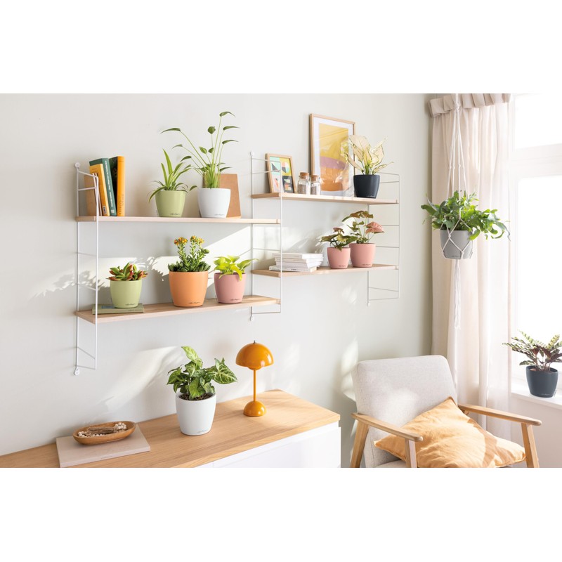 LECHUZA Classico Color 12 Deco Table Pot Slate Grey, Matte