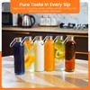 Epica glass bottles with lids – 18oz glass water bottles,