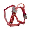 Hurtta Razzle-Dazzle Padded Y Harness for Dogs, 100% Recycled Polyester,