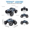 Unbranded 1: 16 Scale 2.4G Remote Control RC Car 4WD