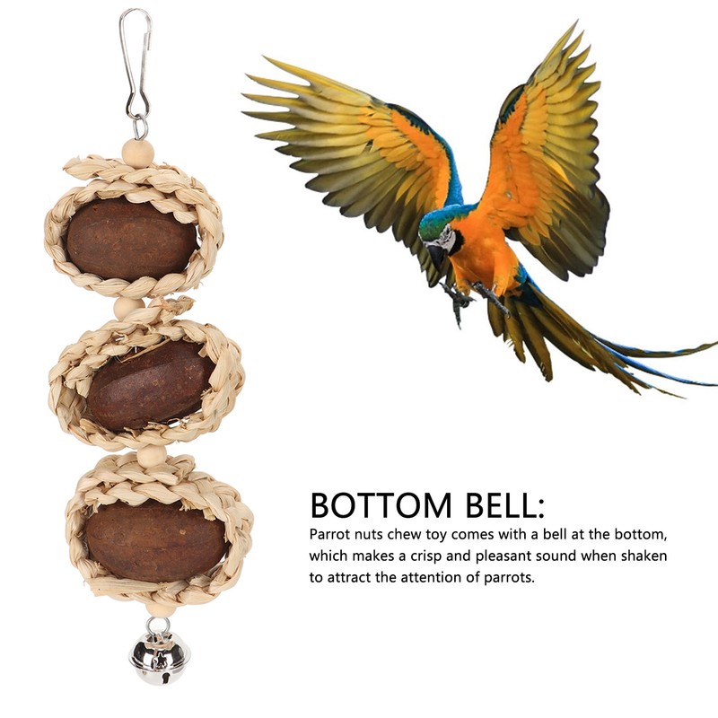 5PCS Parrot Cuttlebone Chew Toy Bite Resistant Corn Leaf Nuts