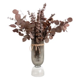 Dried Flower Mix,17 Eucalyptus Leaf + 8 Silver Dollar Leaf , Real Natural Plant, for Wedding, Home Decor, DIY, Total of 25 Pieces (Brown)