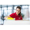 Vileda Professional 5 x Green 100% Recycled Microfibre Cleaning Cloth