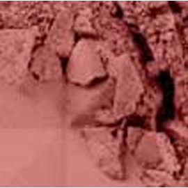 NYX Powder Blush-NXPB29 Amber