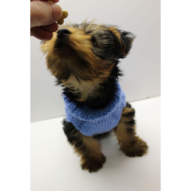 Knitting Pattern for Plain Dogs Coat, 4 Sizes Included, Aran
