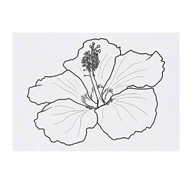 'Hibiscus Flower' Temporary Tattoo - Water Resistant, Skin-Safe, Non-Toxic Transfer (TO00040986)