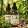 Mayaverra Drenaje Linfático, Mayaverra Gotas Drenaje Linfático-Gotas Naturales，2 Bottle