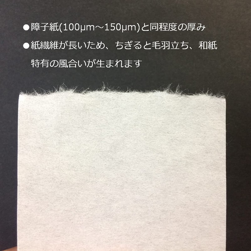 Paper Entrance Shoji Repair Stickers, Washi Paper, A4, 8 Sheets,