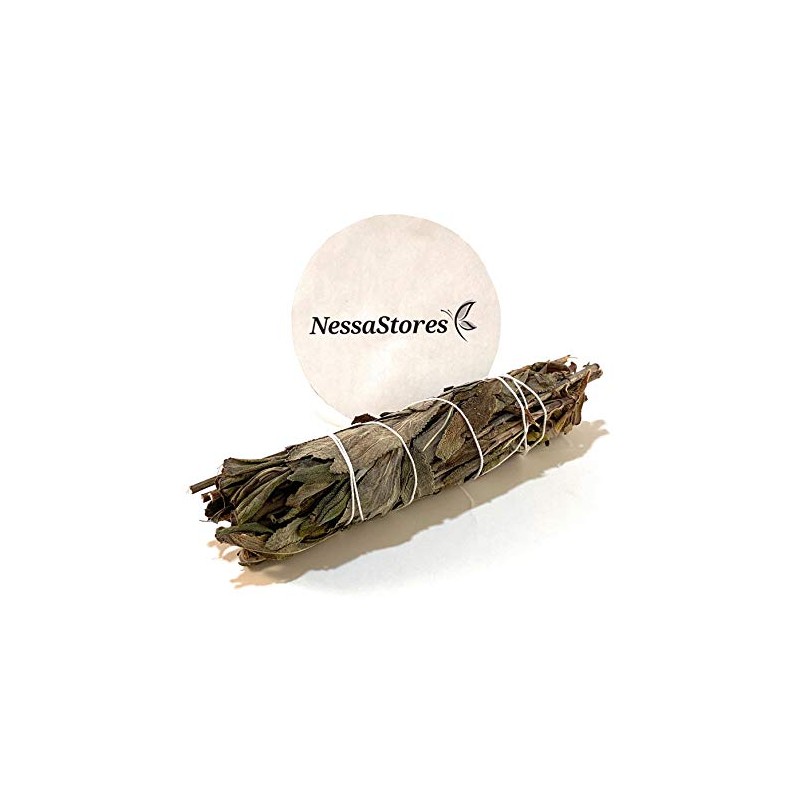 NESSASTORES - Black Sage Smudge Incense 4"-5" Bundle #JC-147 (8