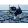 Golden Ratio, Fibonacci & Rule of Thirds Composition Tool Credit