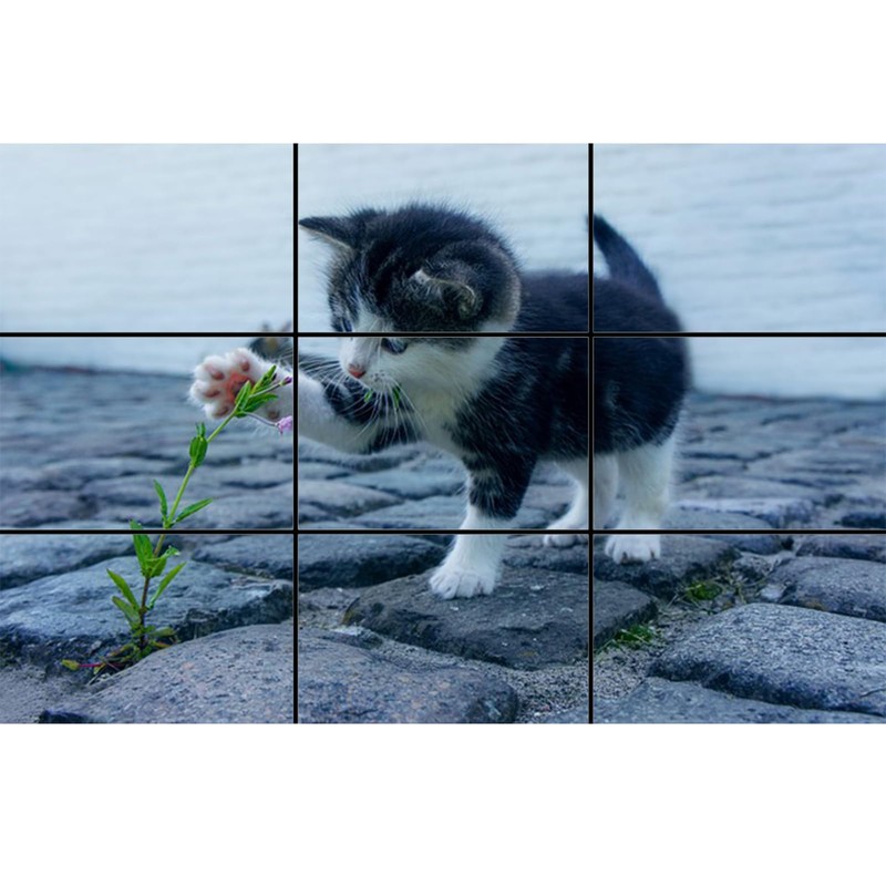 Golden Ratio, Fibonacci & Rule of Thirds Composition Tool Credit