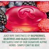 Ricola Box Sugar Free Berry Medley Travel Sized Voice Refreshment,